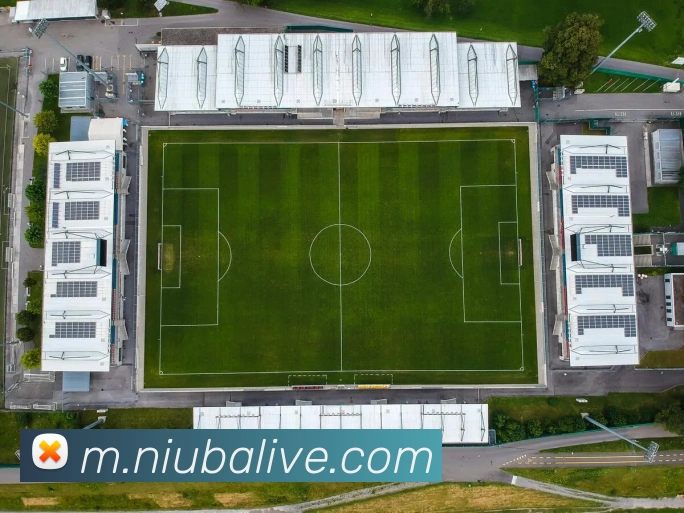 牛八体育APP 封面图